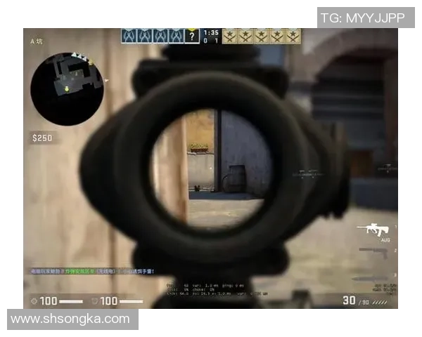 FPX战队在CSGO中的区域防守体系解析与战术运用探讨